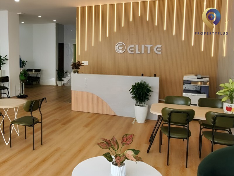 Elite Office Building